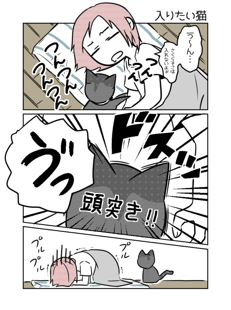 入りたい猫
